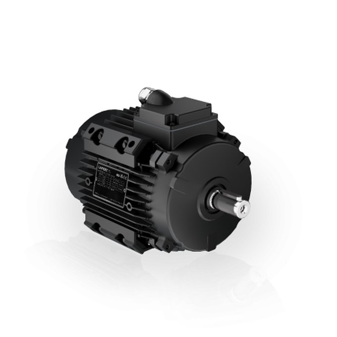 Lafert IEC electric motor