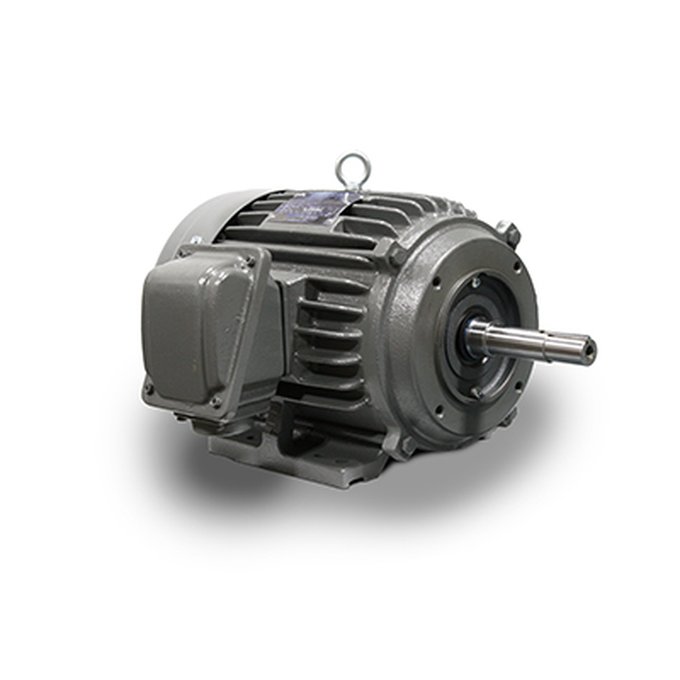 TECO-Westinghouse low-voltage motor