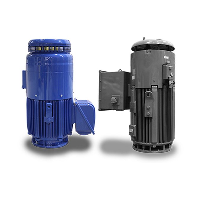 TECO-Westinghouse vertical motor