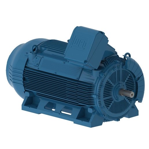 WEG electric motor